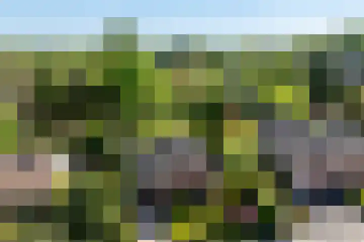 Alexanderstraat 19 Spaubeek thumbnail 34