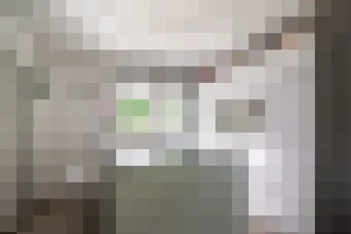 Alexanderstraat 19 Spaubeek thumbnail 9