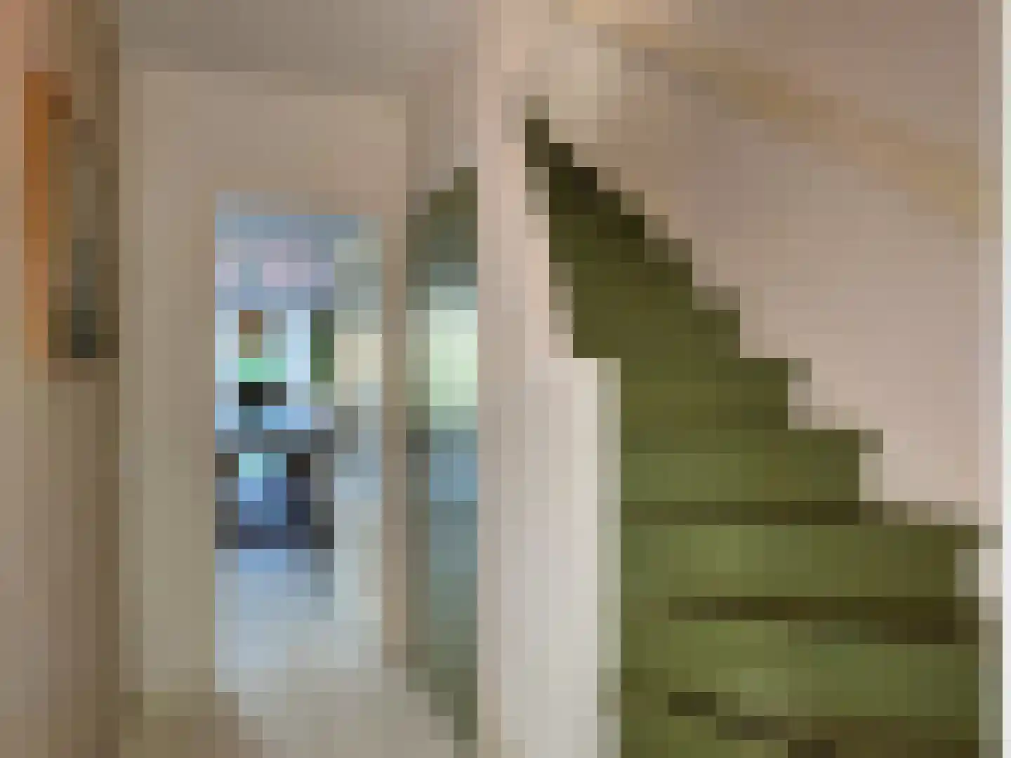 Alexanderstraat 19 Waalre thumbnail 10