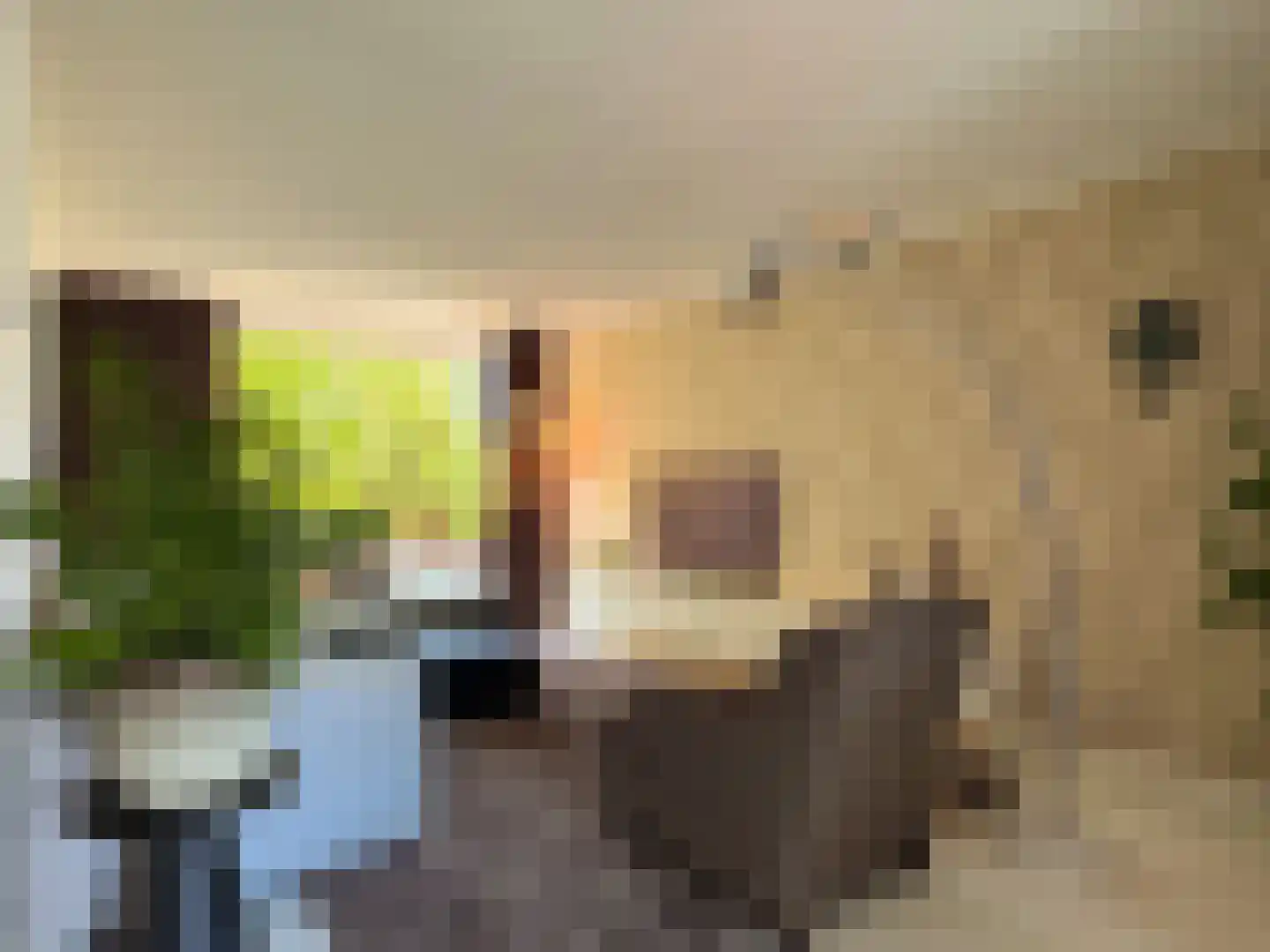 Alexanderstraat 19 Waalre thumbnail 12