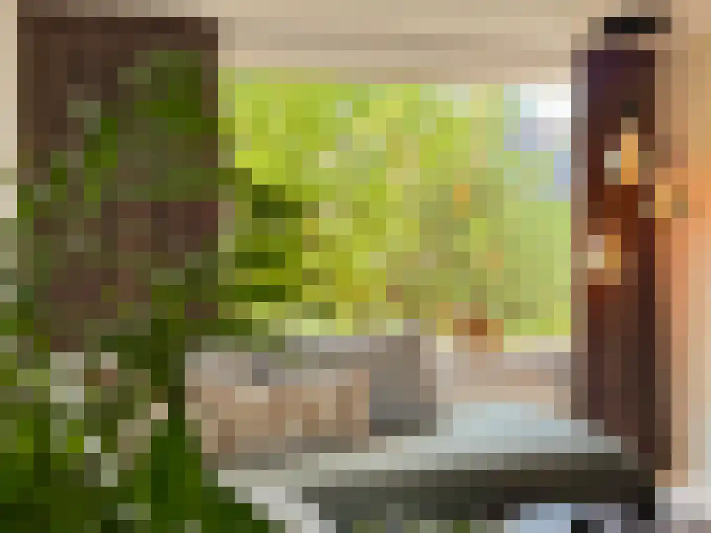 Alexanderstraat 19 Waalre thumbnail 15