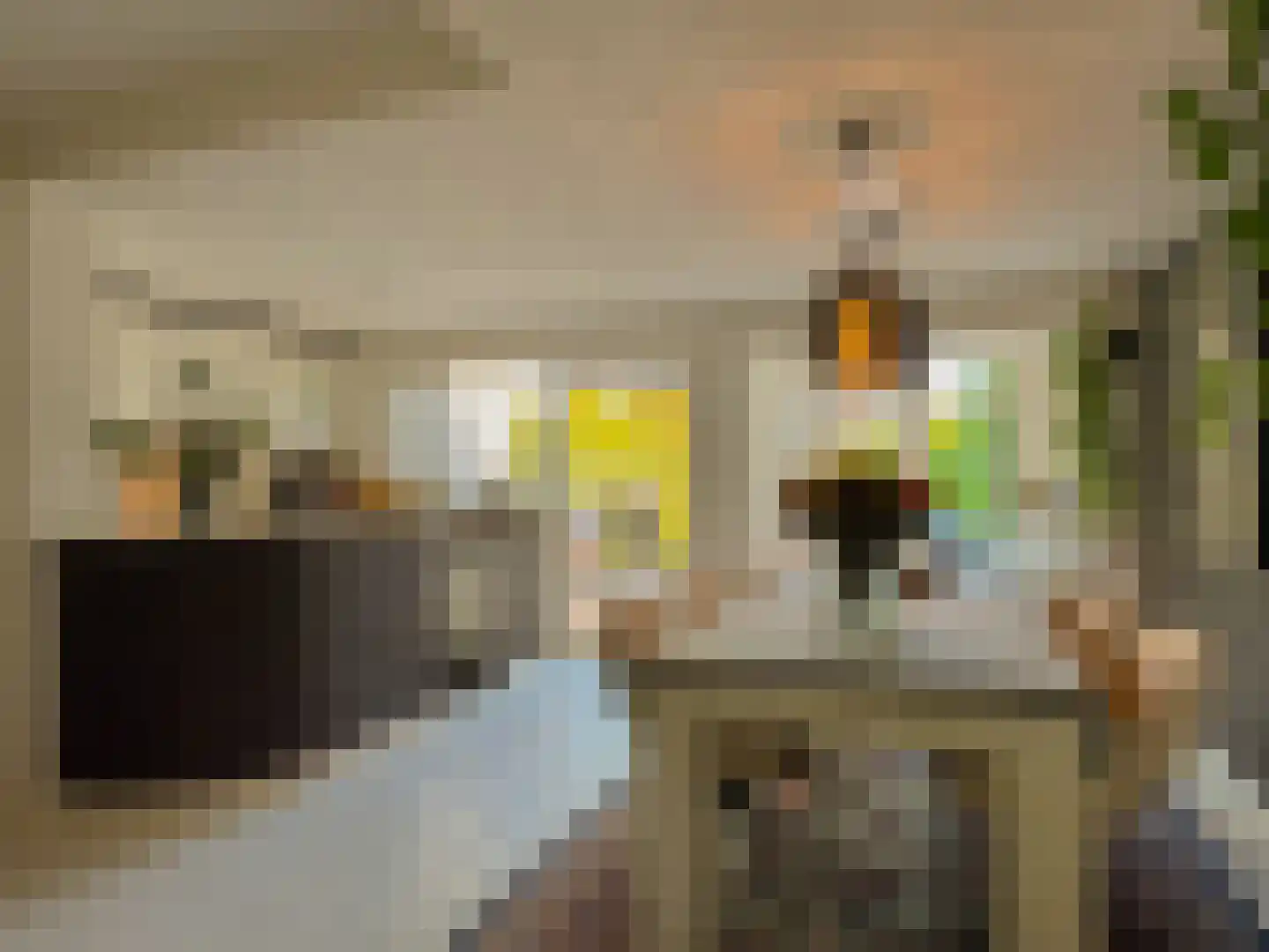 Alexanderstraat 19 Waalre thumbnail 17