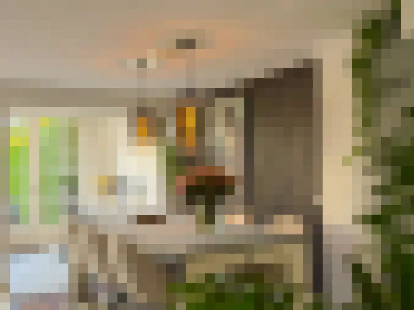 Alexanderstraat 19 Waalre thumbnail 18