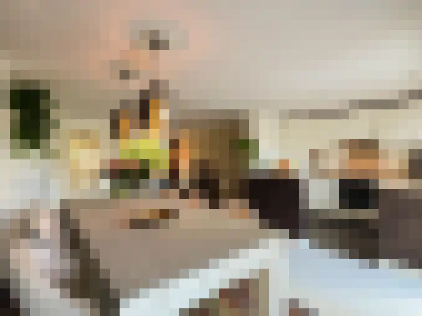 Alexanderstraat 19 Waalre thumbnail 19