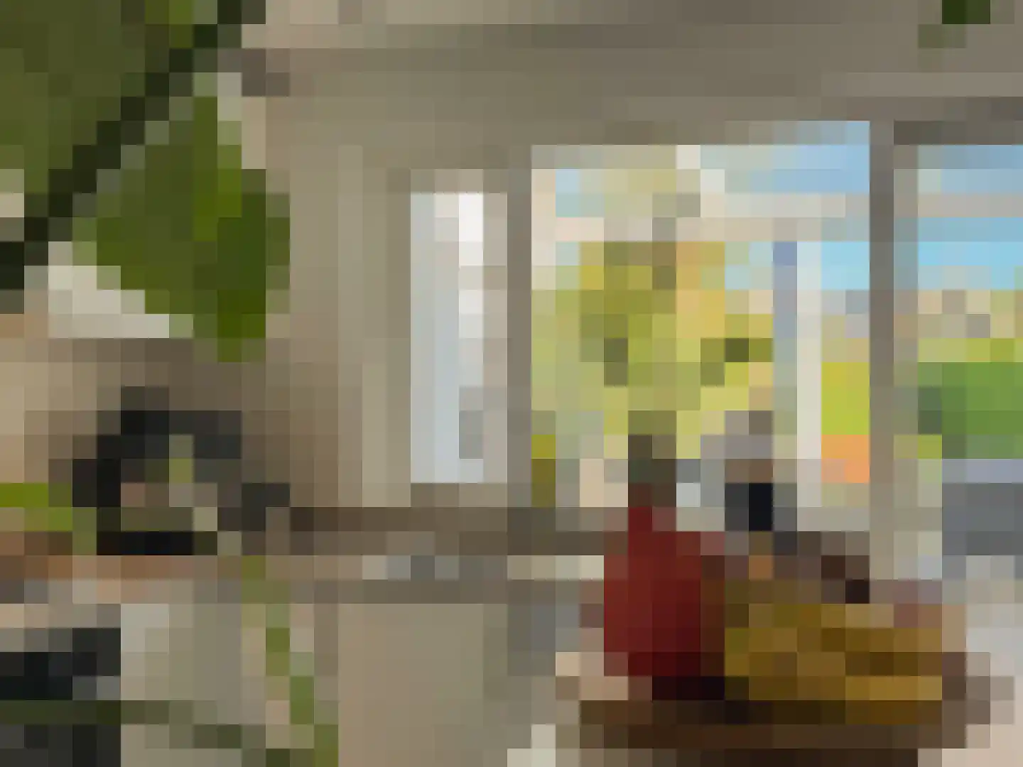 Alexanderstraat 19 Waalre thumbnail 23