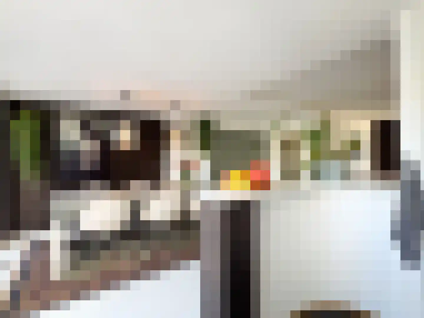Alexanderstraat 19 Waalre thumbnail 24