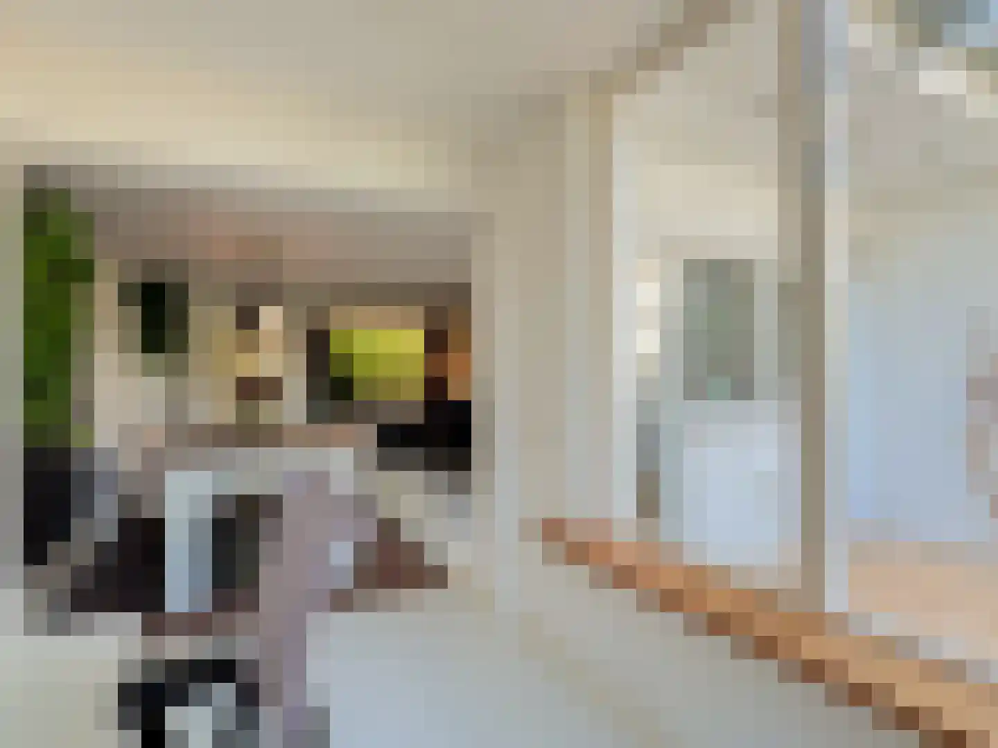 Alexanderstraat 19 Waalre thumbnail 27