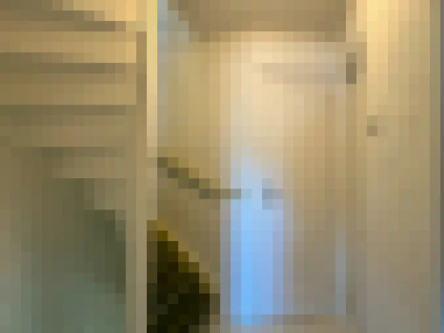 Alexanderstraat 19 Waalre thumbnail 31