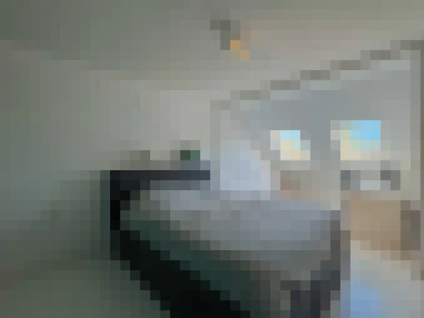 Alexanderstraat 19 Waalre thumbnail 32