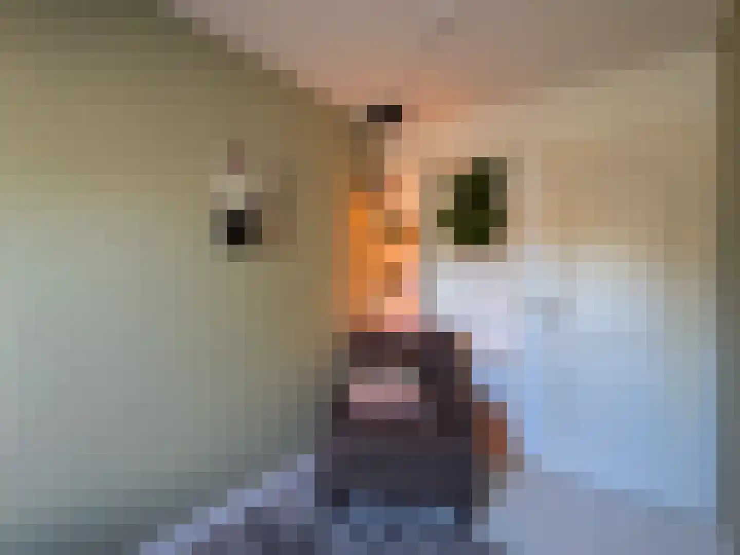 Alexanderstraat 19 Waalre thumbnail 38
