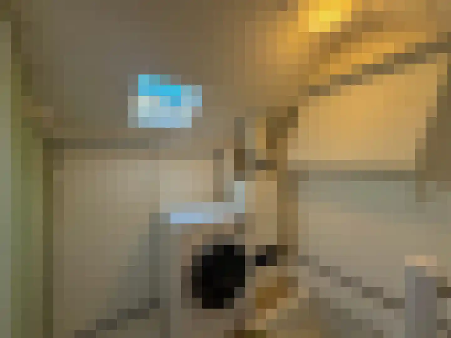 Alexanderstraat 19 Waalre thumbnail 42