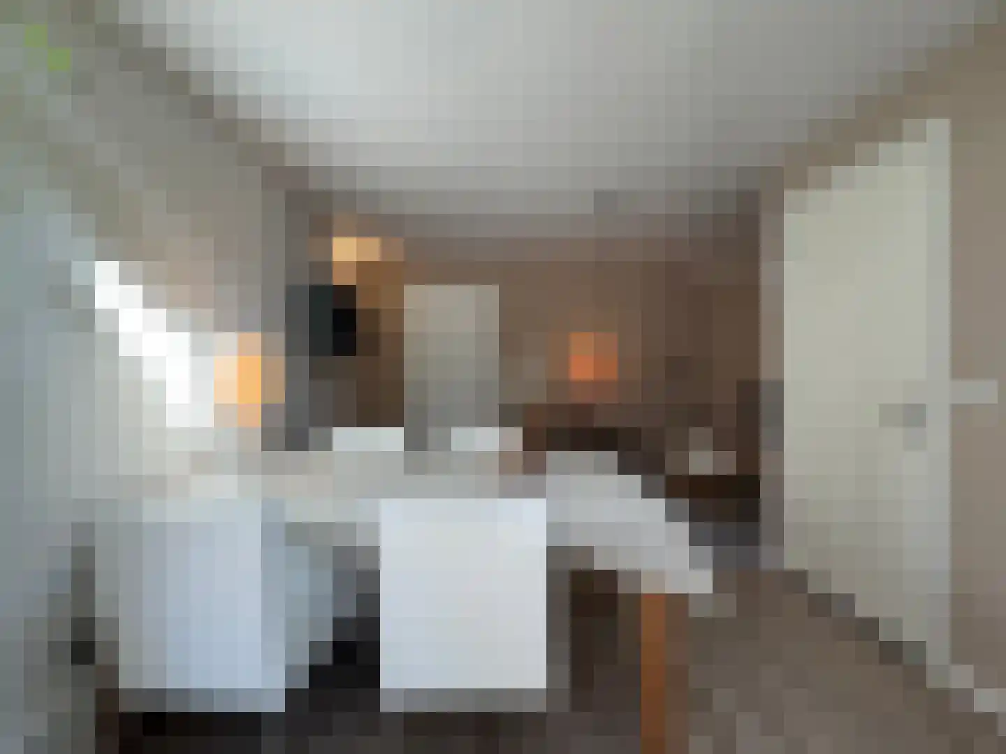 Alexanderstraat 19 Waalre thumbnail 54