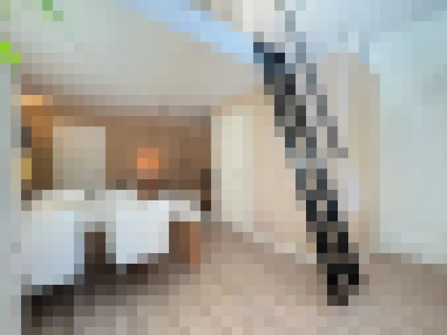 Alexanderstraat 19 Waalre thumbnail 56