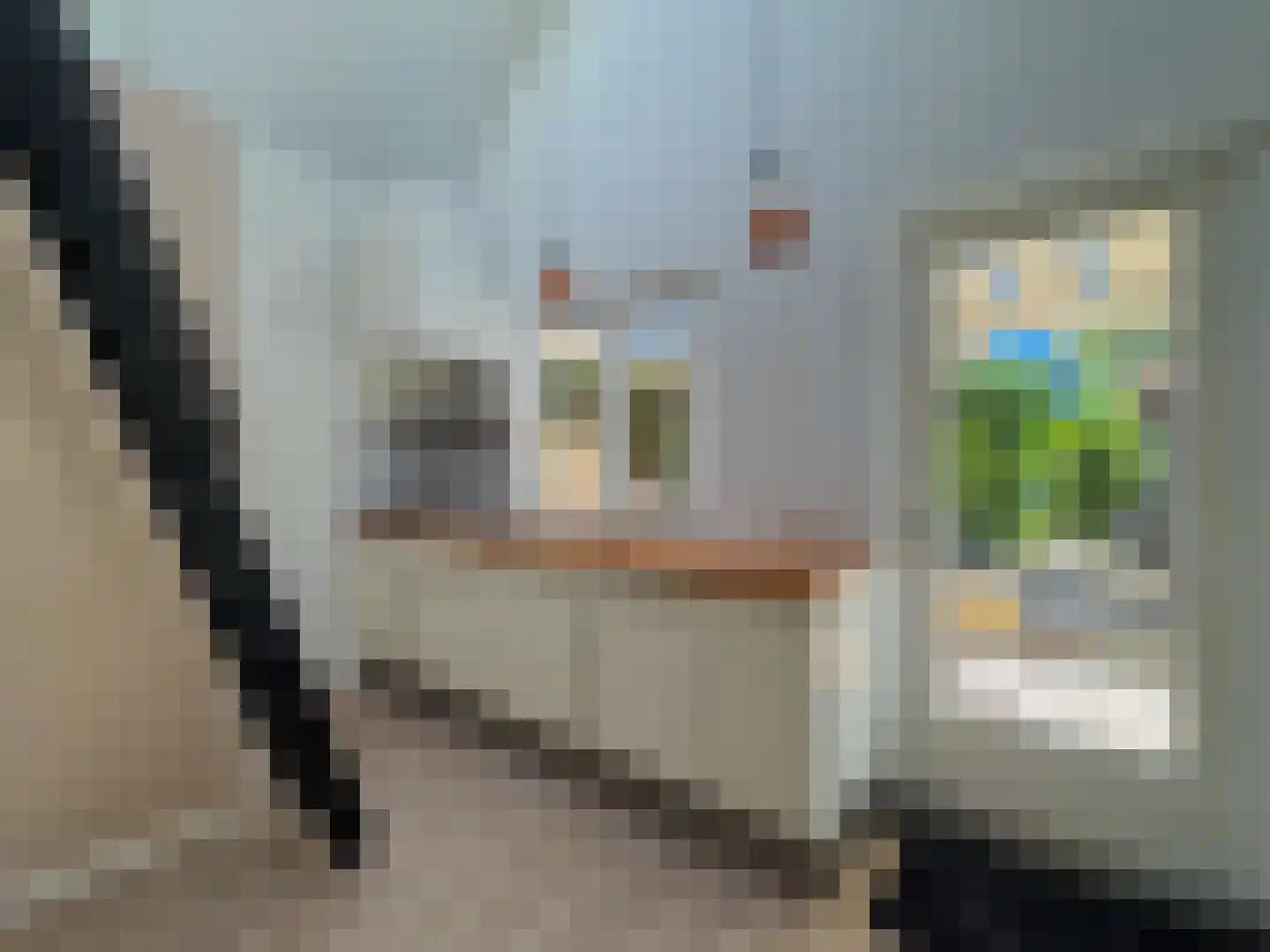 Alexanderstraat 19 Waalre thumbnail 57