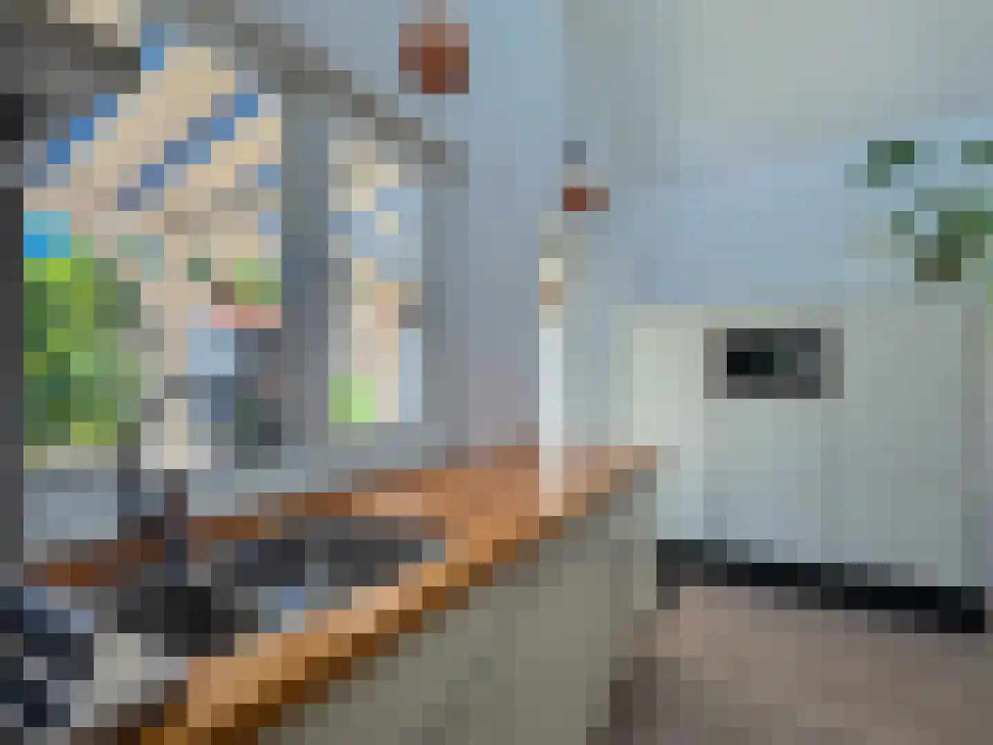 Alexanderstraat 19 Waalre thumbnail 58