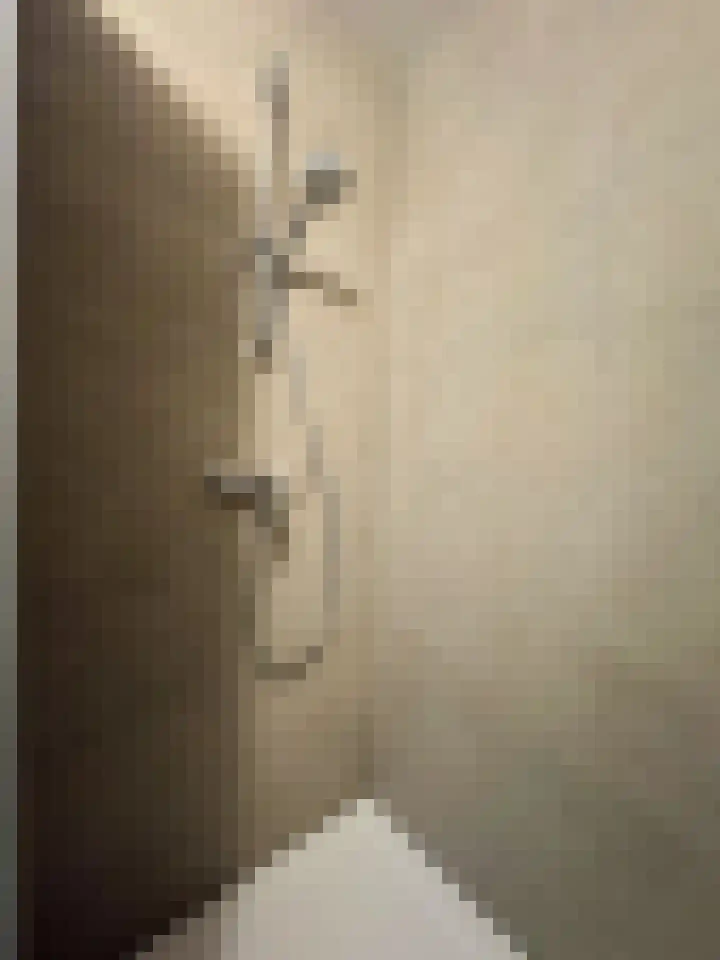 Alexanderstraat 19 Waalre thumbnail 60