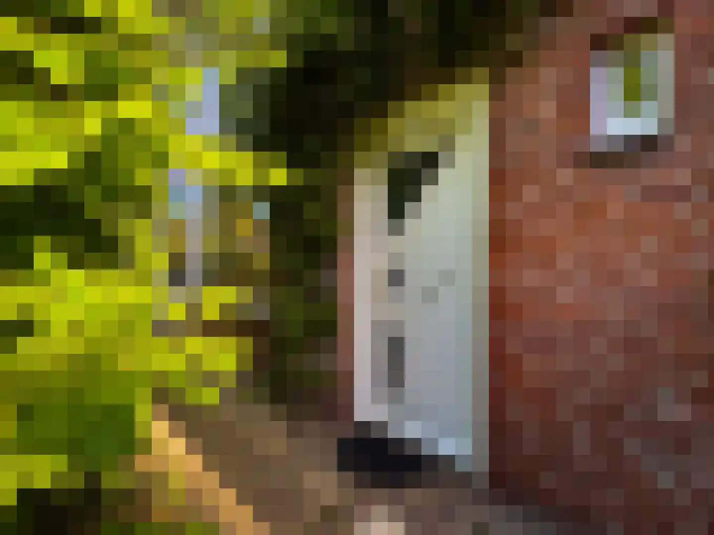 Alexanderstraat 19 Waalre thumbnail 9
