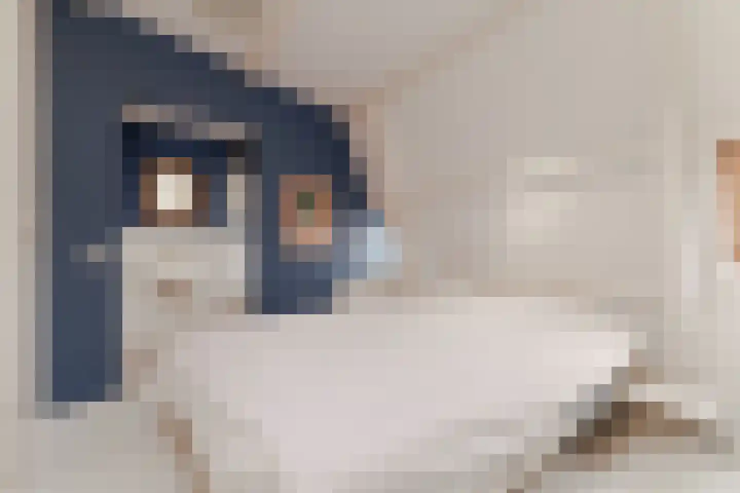 Alexanderstraat 2 2 Amsterdam thumbnail 32