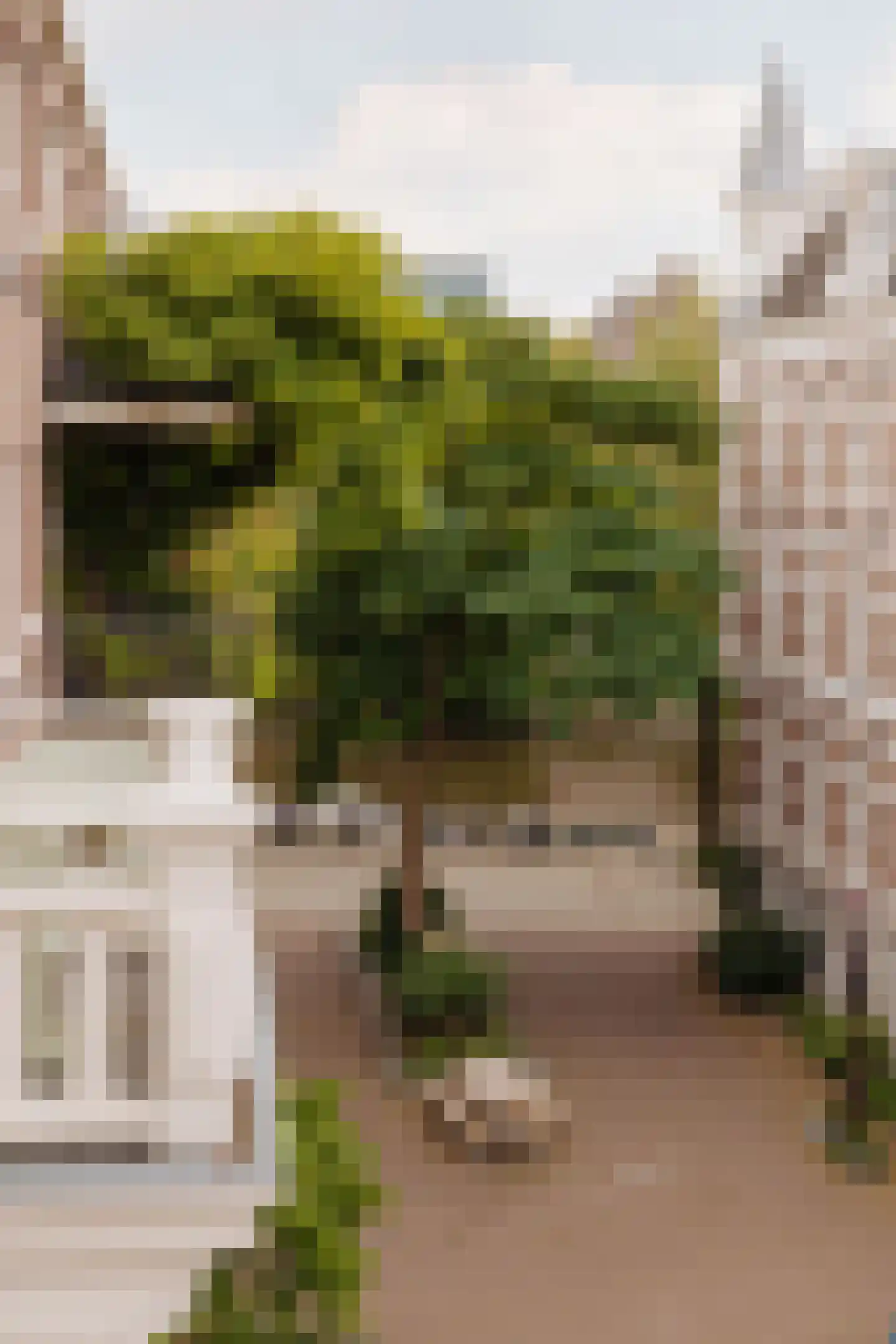Alexanderstraat 2 2 Amsterdam thumbnail 7