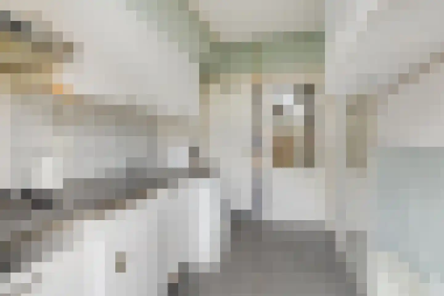 Alexanderstraat 2 Groningen thumbnail 16