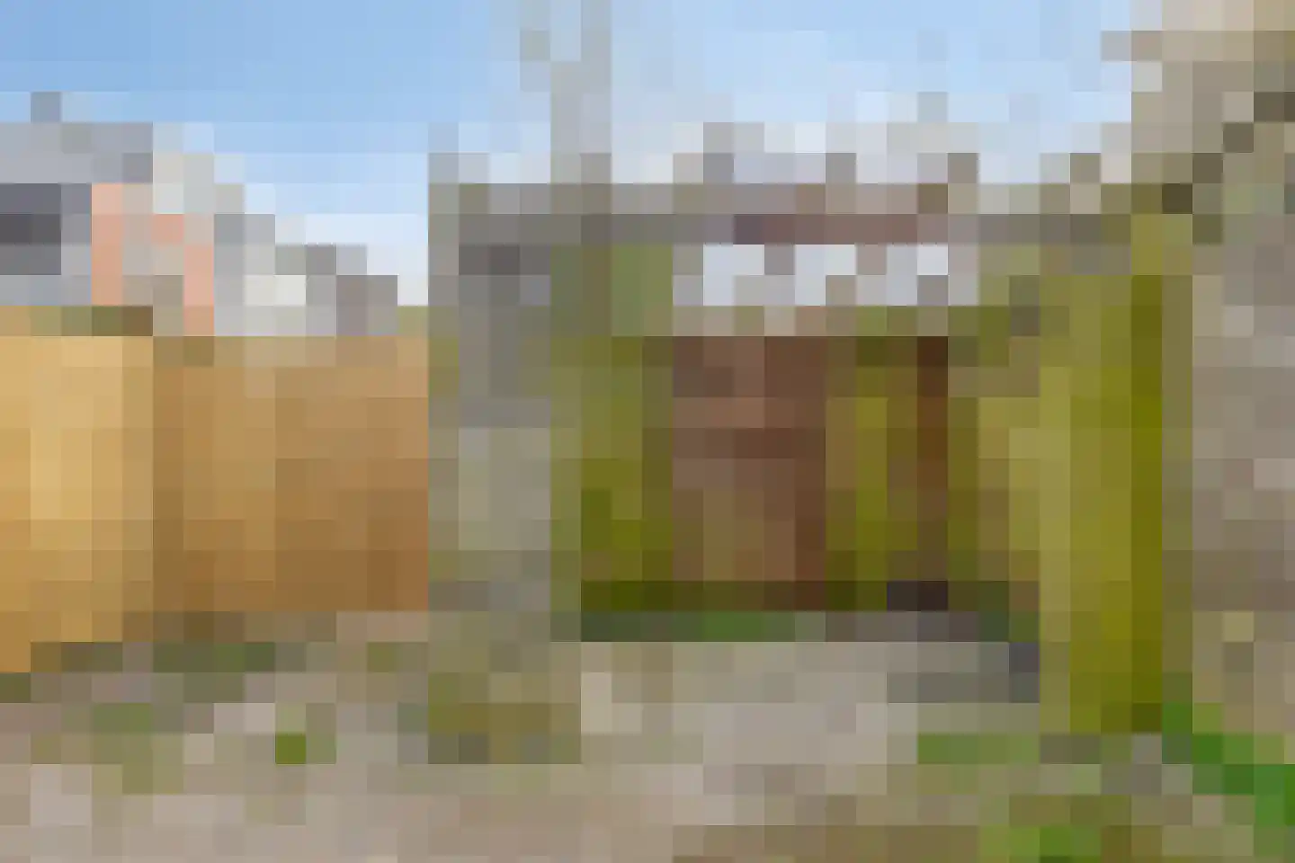 Alexanderstraat 2 Groningen thumbnail 30