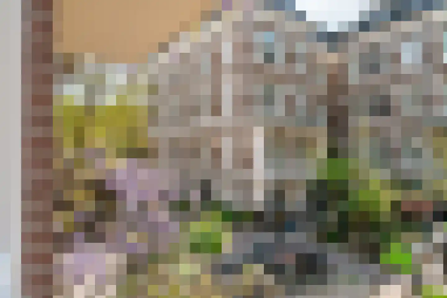 Alexanderstraat 20 Amsterdam thumbnail 7
