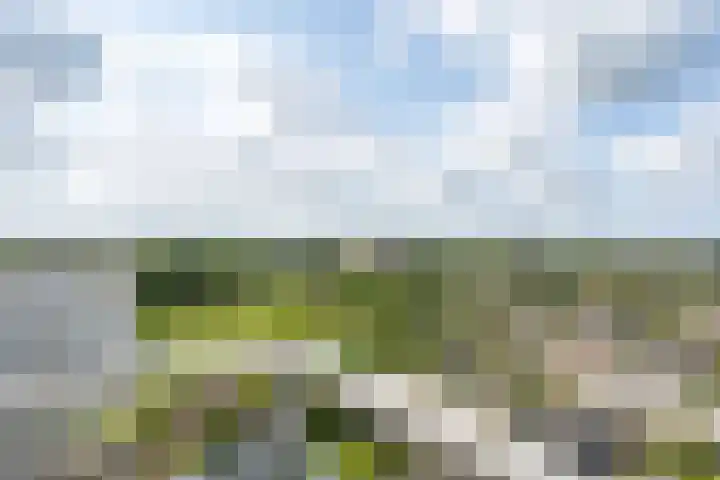 Alexanderstraat 201 Zoetermeer thumbnail 33