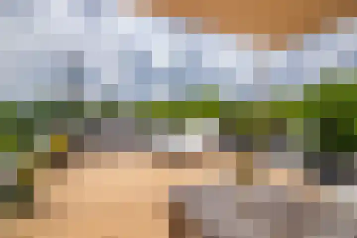 Alexanderstraat 204 Arnhem thumbnail 33