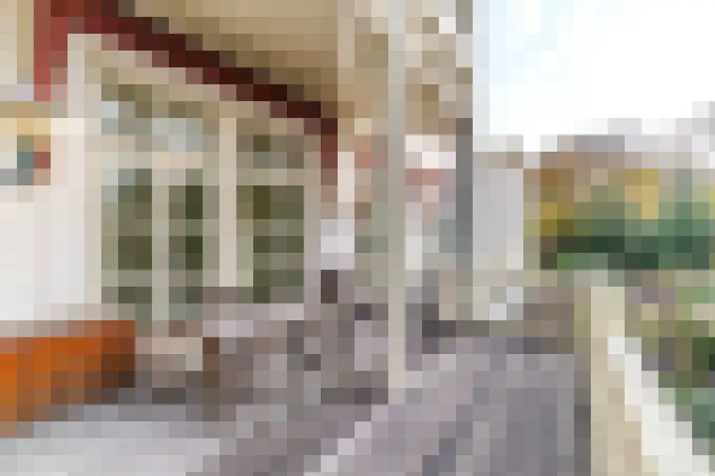 Alexanderstraat 22 C Den Haag thumbnail 6