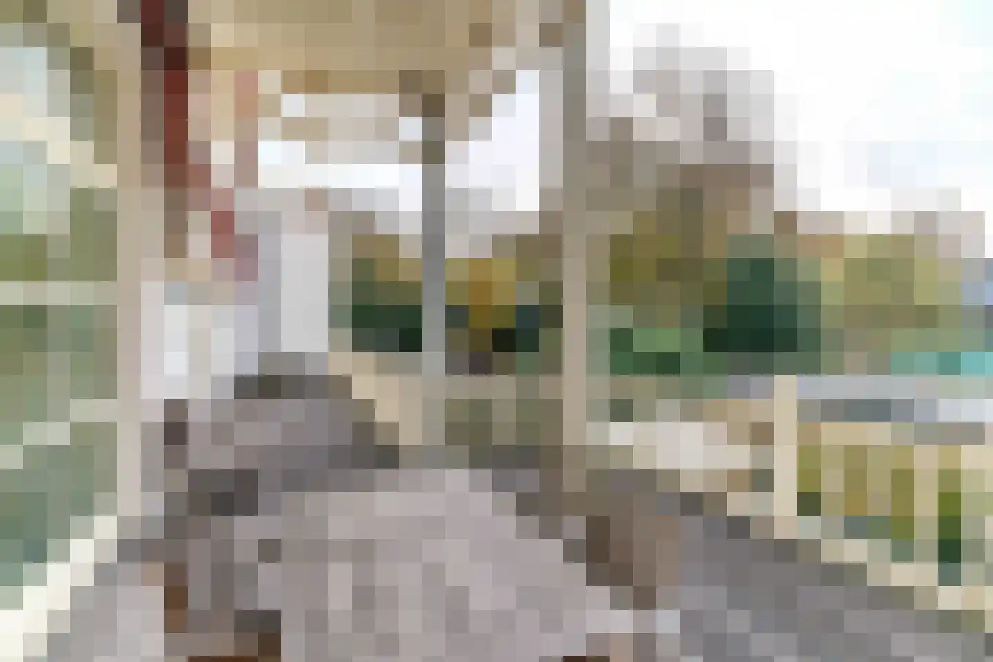 Alexanderstraat 22 C Den Haag thumbnail 7