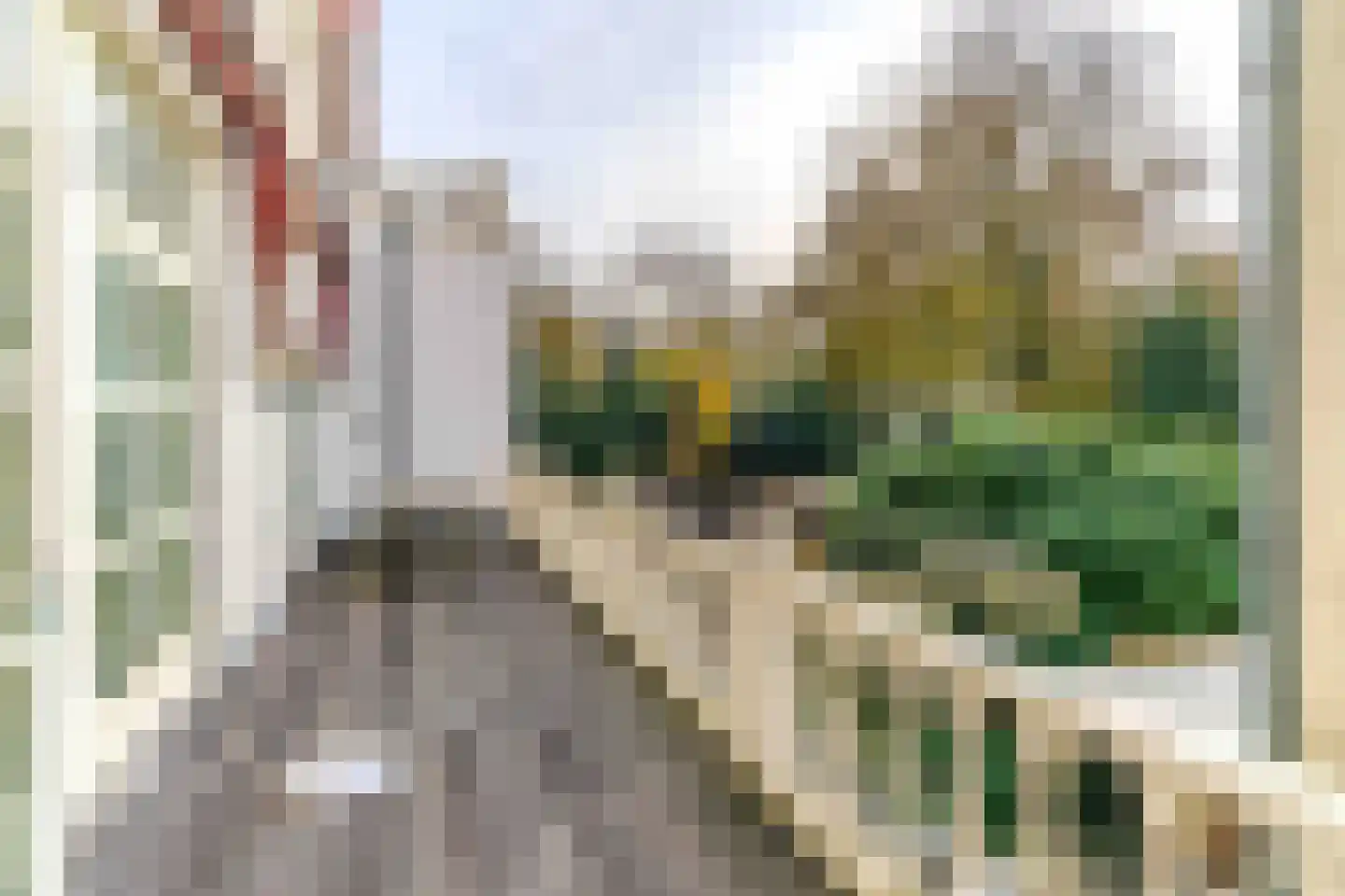 Alexanderstraat 22 C Den Haag thumbnail 8
