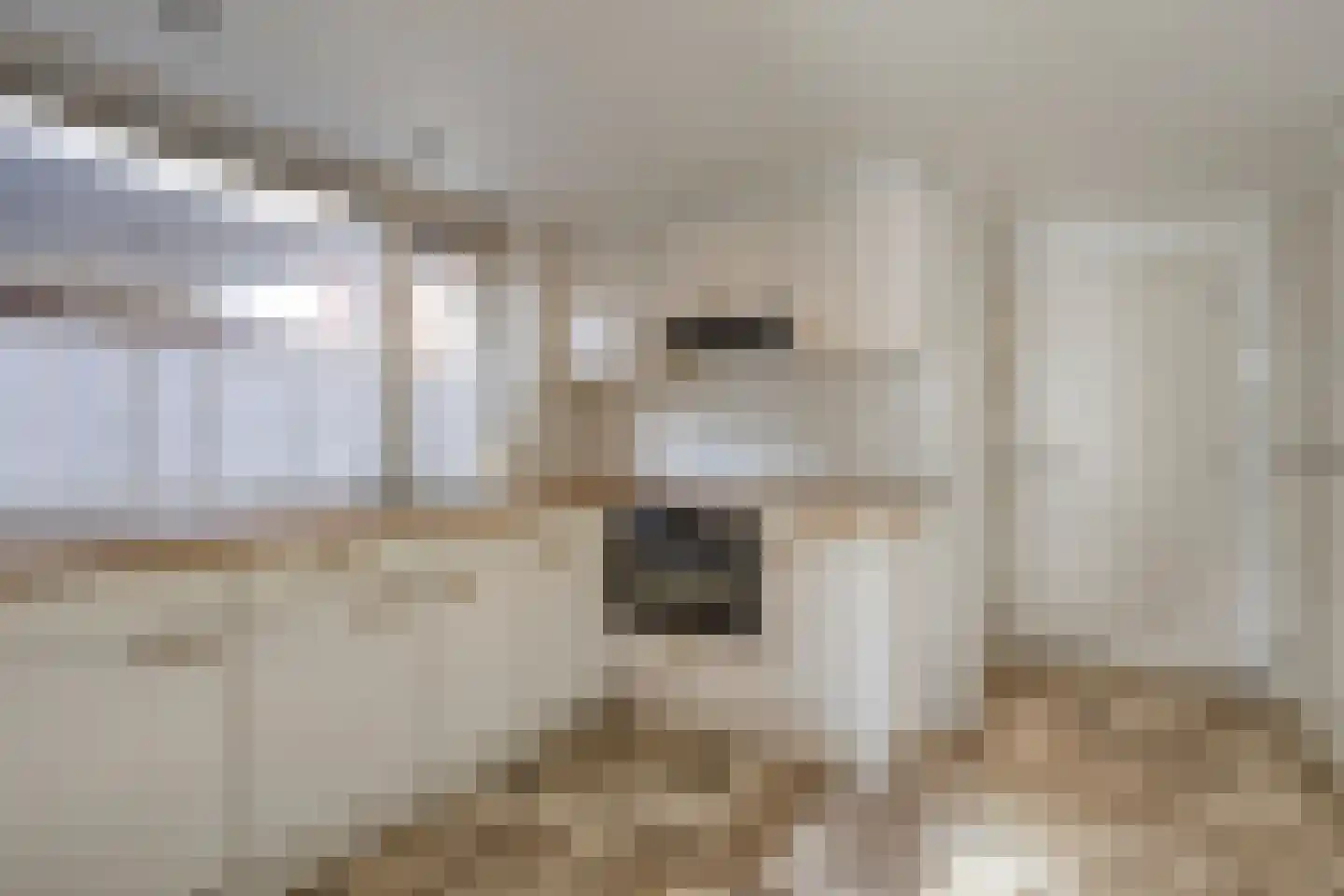 Alexanderstraat 22 Waalre thumbnail 11