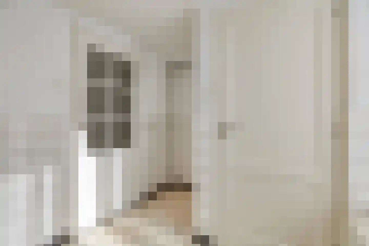 Alexanderstraat 22 Waalre thumbnail 12