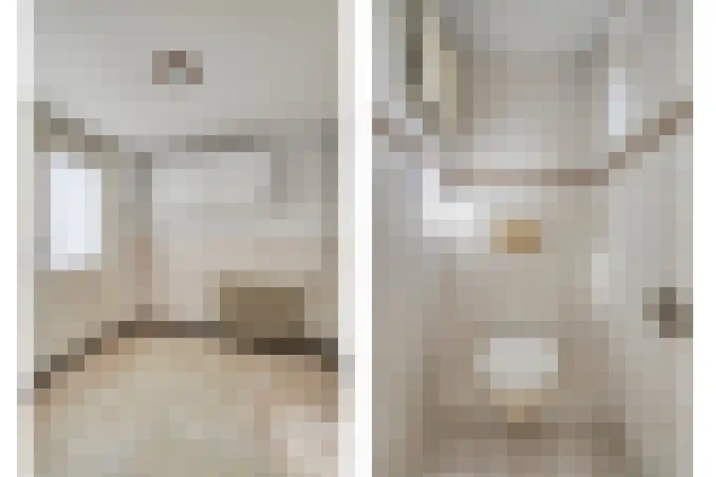 Alexanderstraat 22 Waalre thumbnail 13