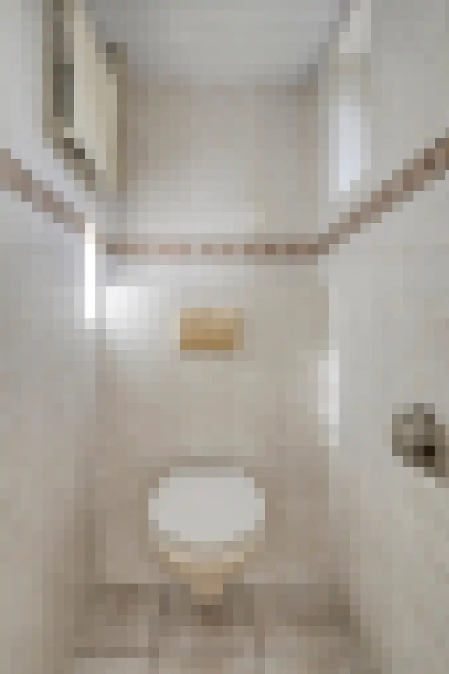 Alexanderstraat 22 Waalre thumbnail 15