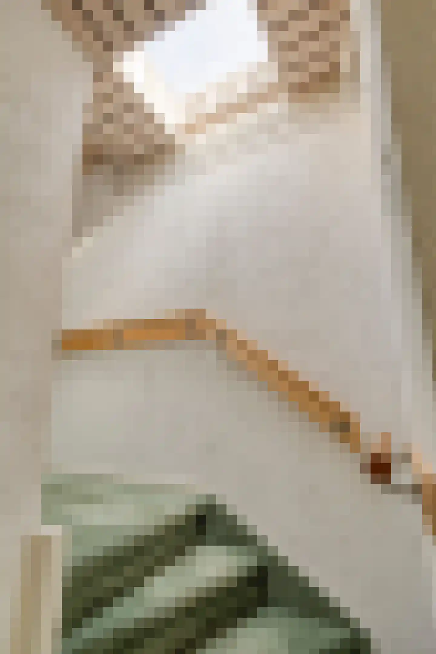 Alexanderstraat 22 Waalre thumbnail 18
