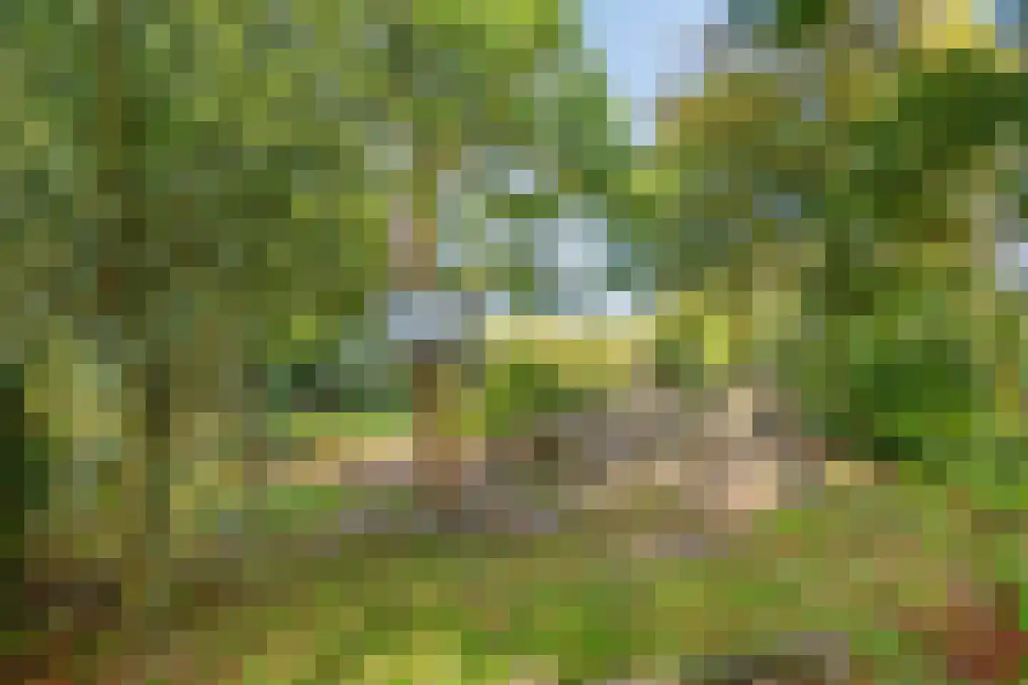 Alexanderstraat 22 Waalre thumbnail 32