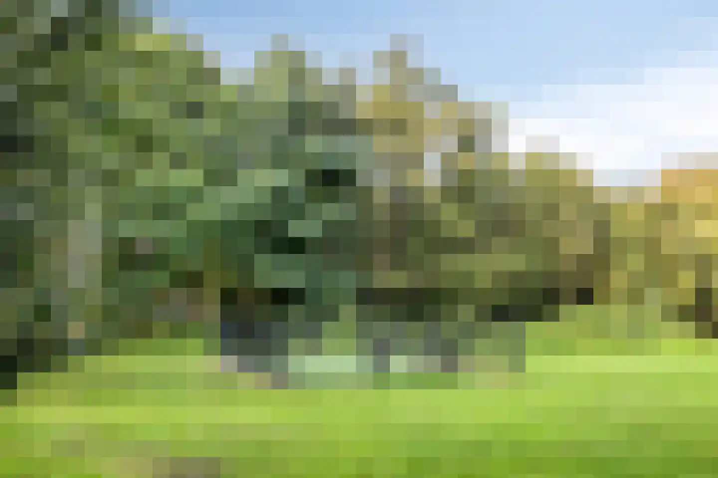Alexanderstraat 22 Waalre thumbnail 33