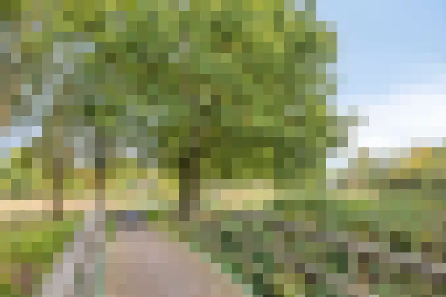 Alexanderstraat 22 Waalre thumbnail 34