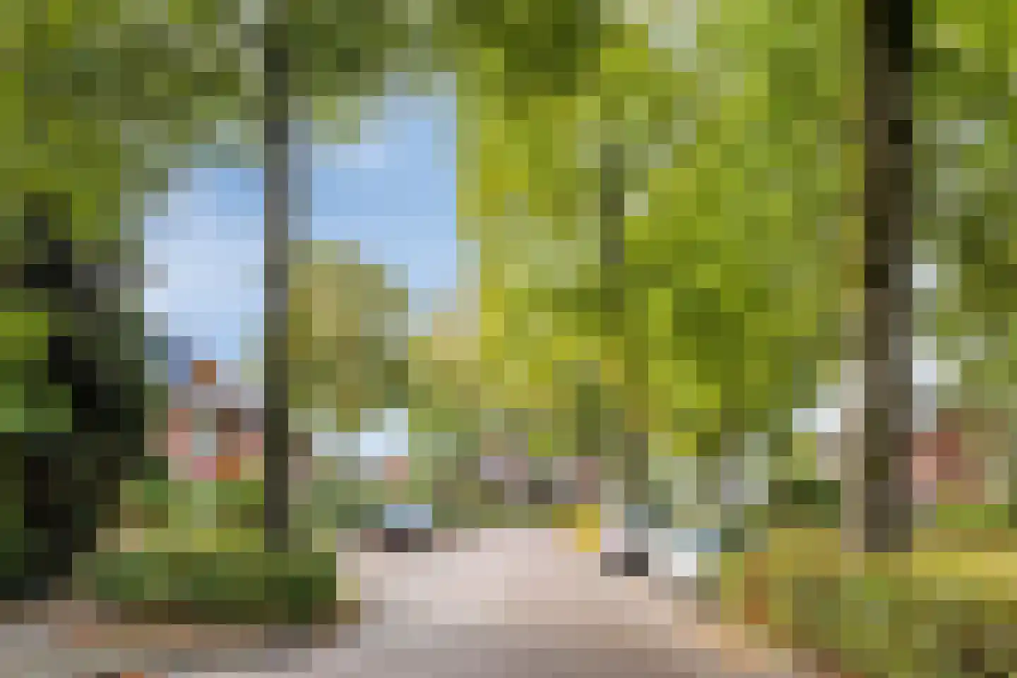 Alexanderstraat 22 Waalre thumbnail 36