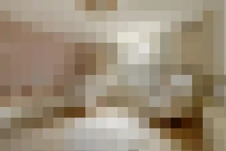 Alexanderstraat 226 Arnhem thumbnail 31