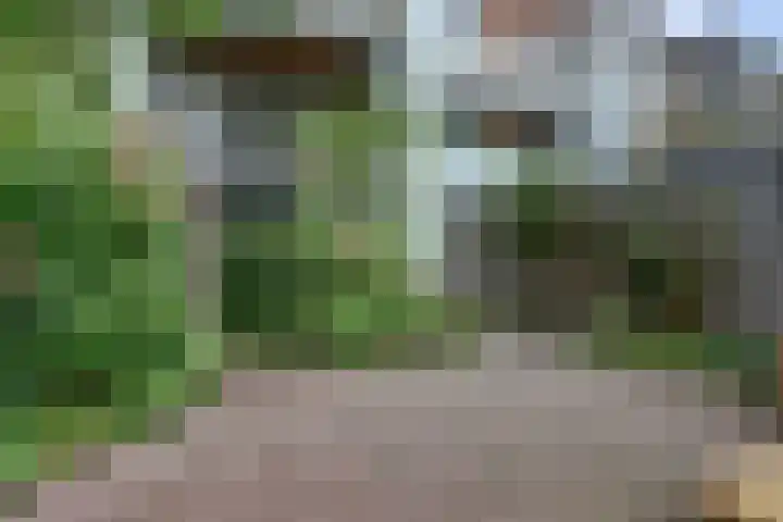 Alexanderstraat 226 Arnhem thumbnail 42