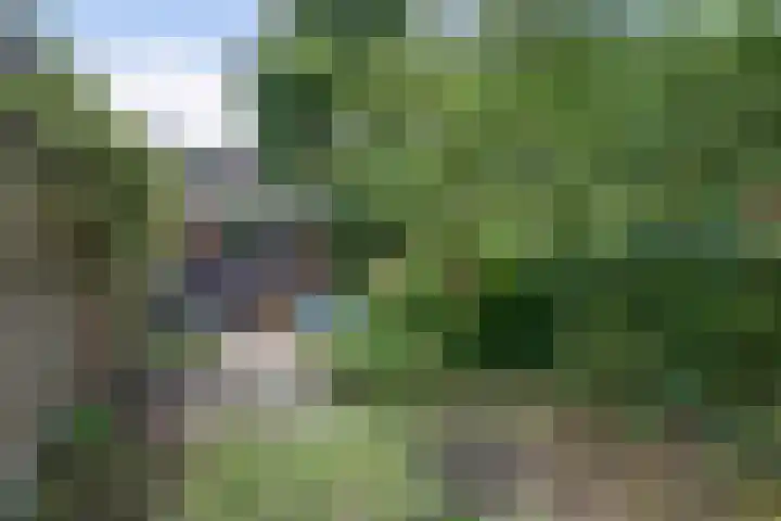Alexanderstraat 226 Arnhem thumbnail 44