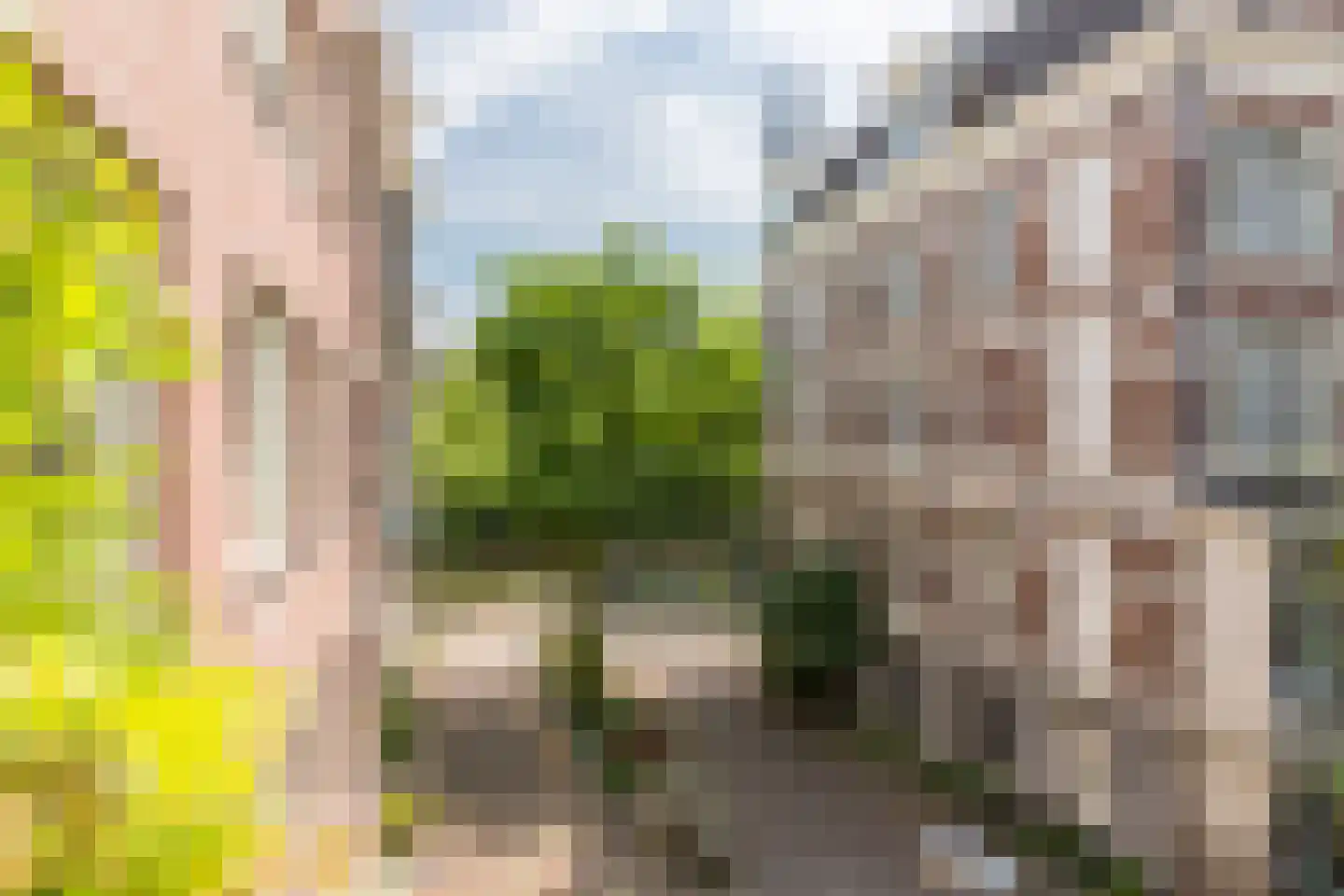 Alexanderstraat 24 Amsterdam thumbnail 14