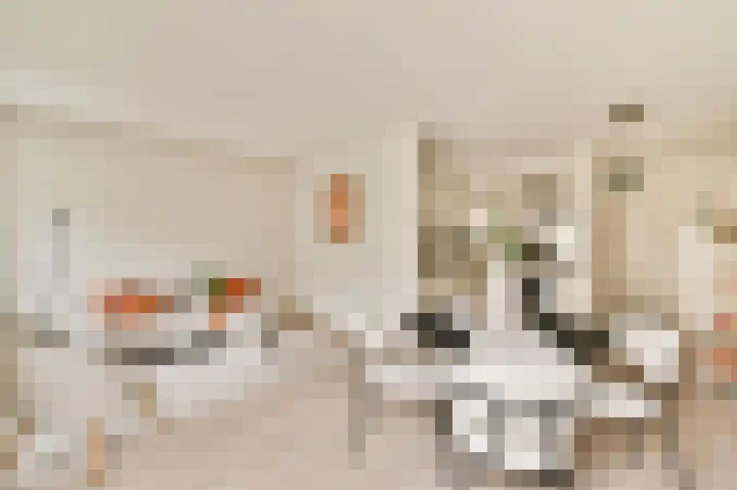 Alexanderstraat 24 Amsterdam thumbnail 5