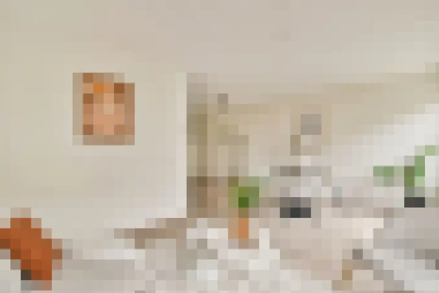 Alexanderstraat 24 Amsterdam thumbnail 6