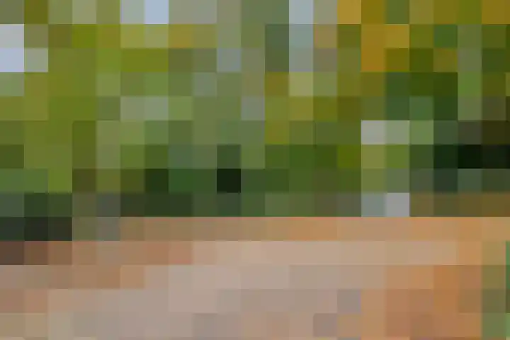 Alexanderstraat 25 Arnhem thumbnail 39