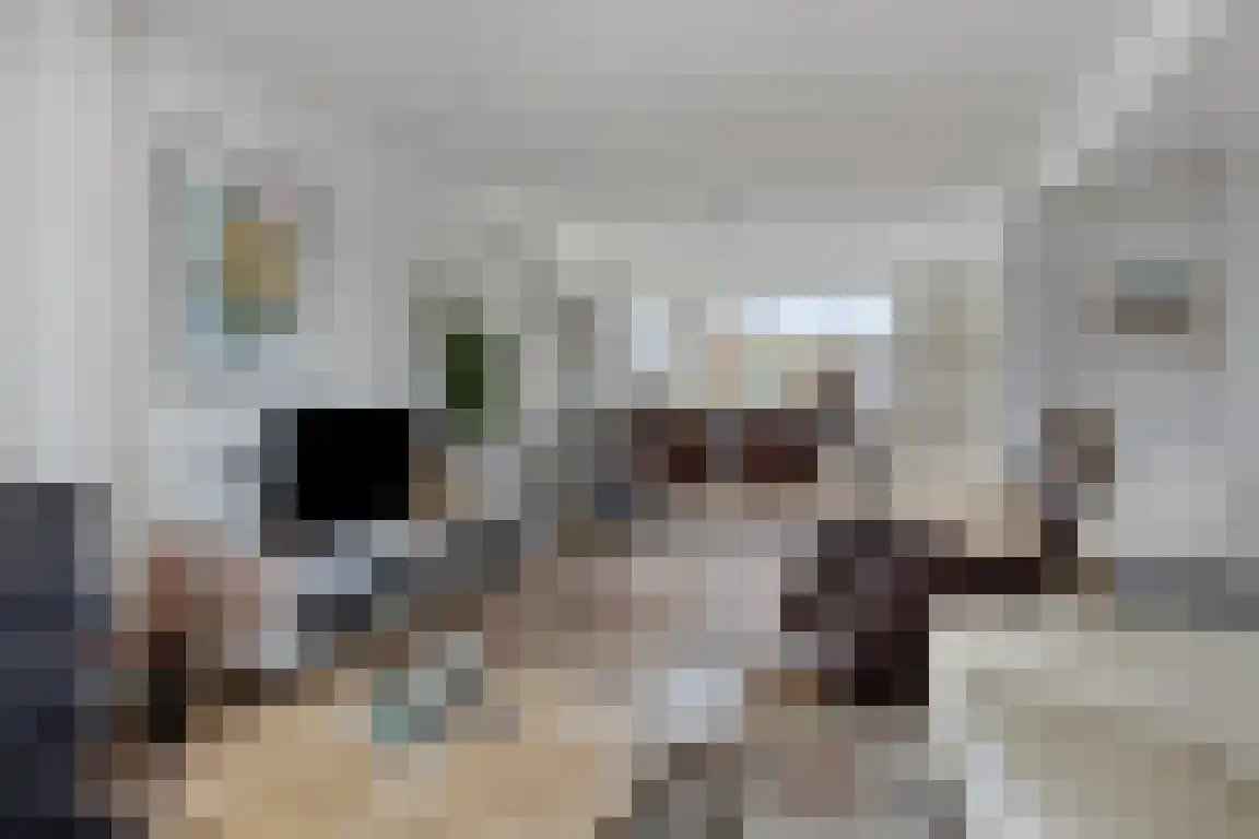 Alexanderstraat 27 Waalre thumbnail 11