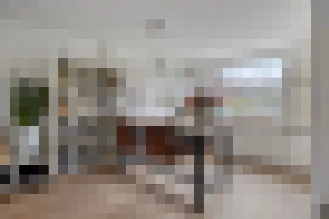Alexanderstraat 27 Waalre thumbnail 13