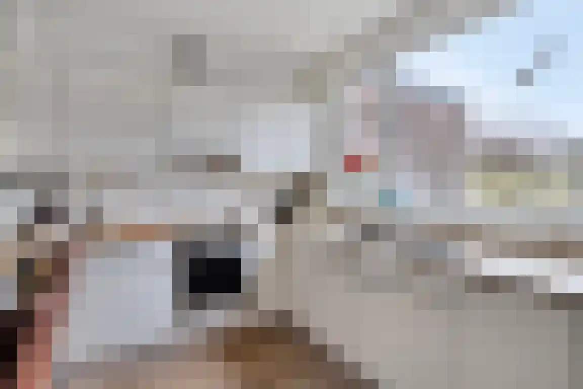 Alexanderstraat 27 Waalre thumbnail 15